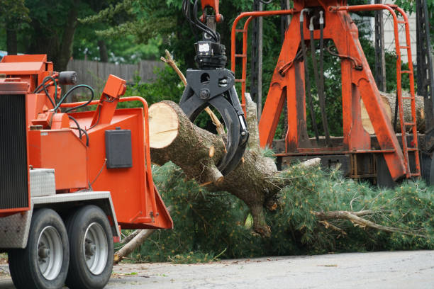 Best Commercial Tree Services  in Exeter, PA