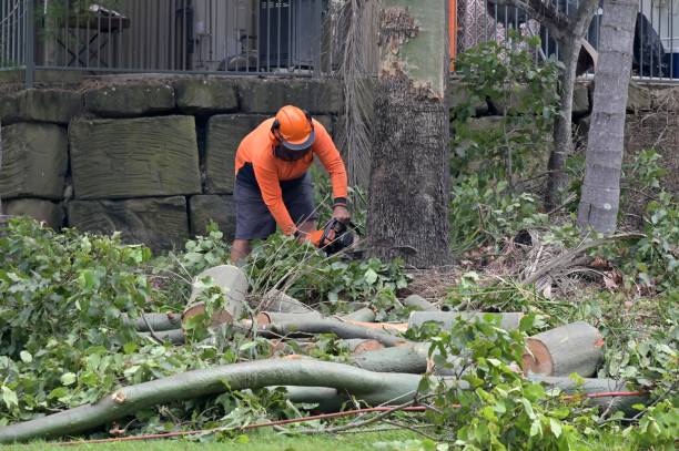 Best Arborist Consultation Services  in Exeter, PA